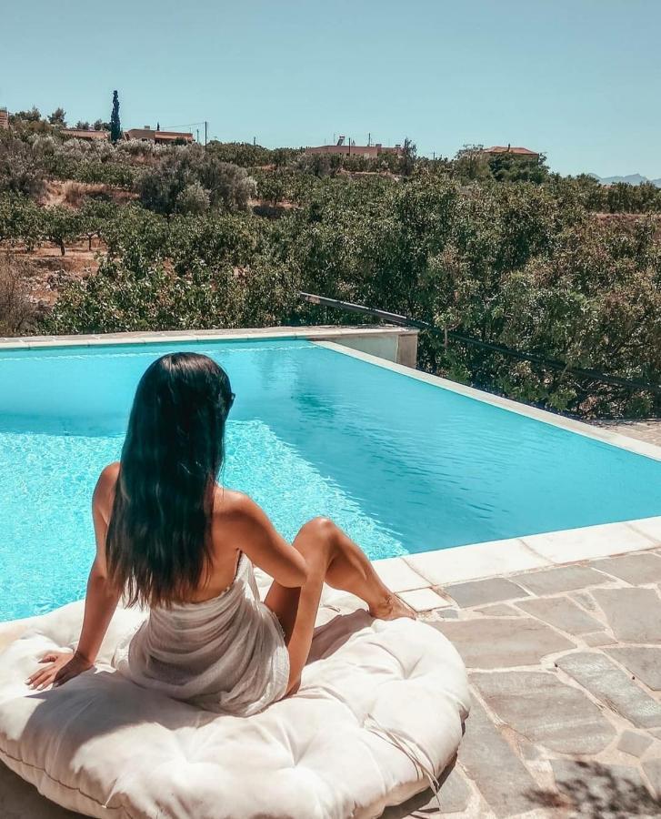 Villa Xenia Aegina Екстер'єр фото