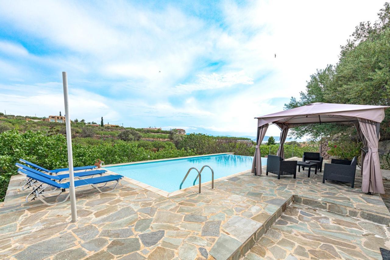Villa Xenia Aegina Екстер'єр фото